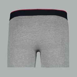 NZA New Zealand Auckland Bollons grijs