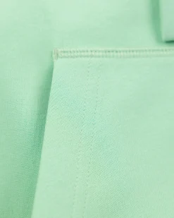 NZA New Zealand Auckland Lichtgroene hoodie